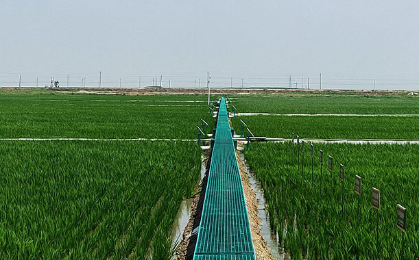噴霧干燥機（氣流噴霧干燥機）在制藥行業的發展和運用